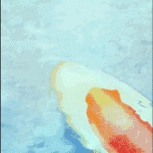 Shipping link for specific customer